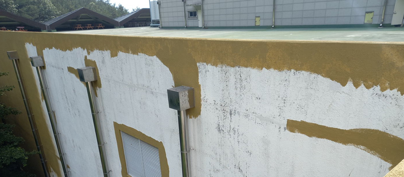 대전서구건물도장