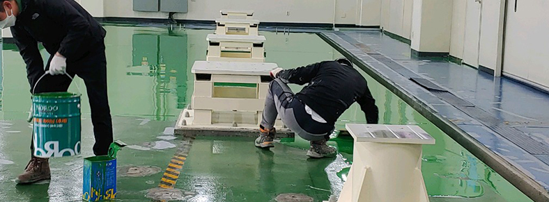 대전서구건물도장