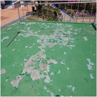 대전서구건물도장-5452542