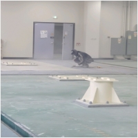 대전서구건물도장-5452549